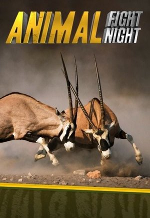 Animal Fight Night