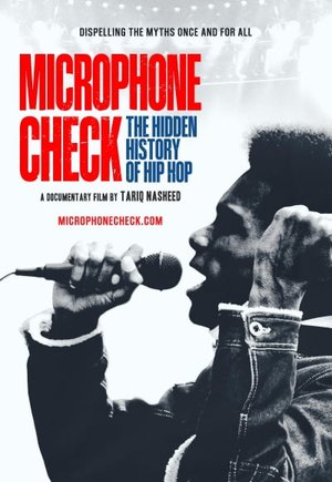 Microphone Check