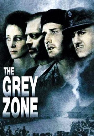 The Grey Zone