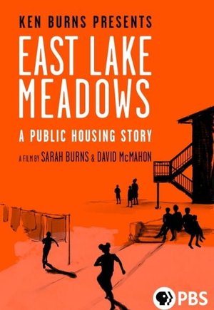East Lake Meadows: A Public Housing Story