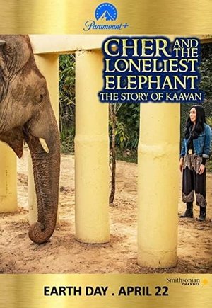 Cher and the Loneliest Elephant