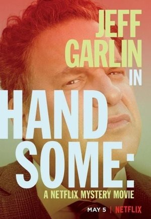 Handsome: A Netflix Mystery Movie