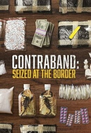 Contraband: Seized at the Border