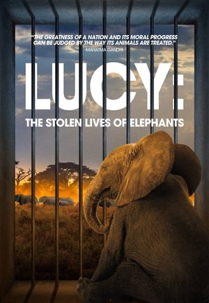 Lucy: The Stolen Lives of Elephants