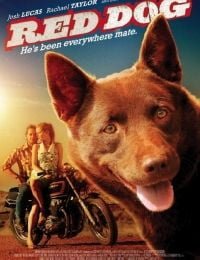 Red Dog
