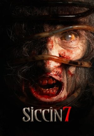Siccin 7