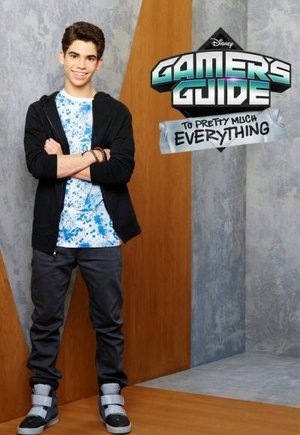 Gamer's Guide to Pretty Much Everything