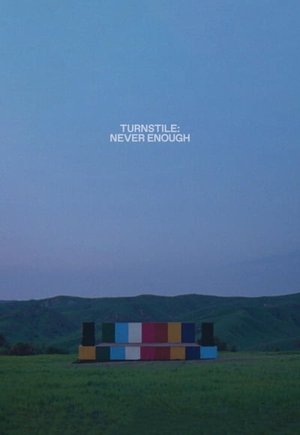 Turnstile: Never Enough