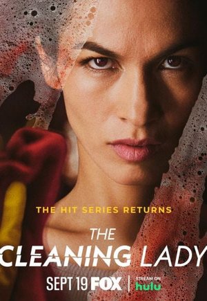The Cleaning Lady