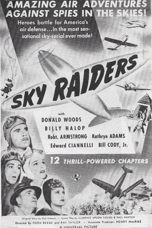 Sky Raiders