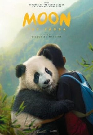 Moon the Panda