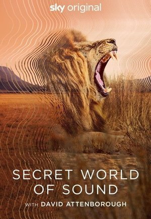 Secret World of Sound with David Attenborough