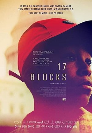 17 Blocks