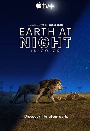 Earth at Night in Color