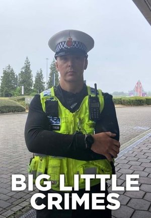 Big Little Crimes