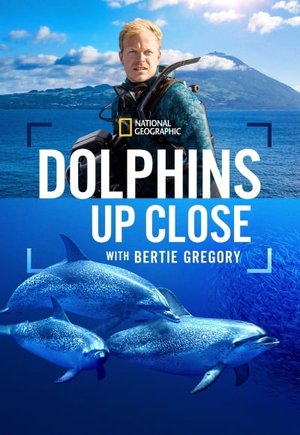 Dolphins Up Close with Bertie Gregory