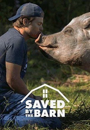 Saved by the Barn