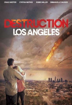 Destruction Los Angeles