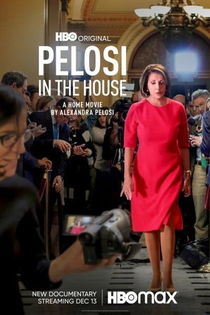 Pelosi in the House