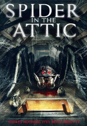 Spider in the Attic