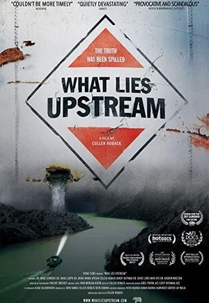 What Lies Upstream