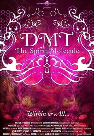 DMT: The Spirit Molecule