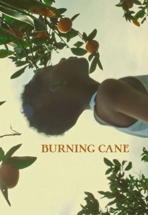 Burning Cane