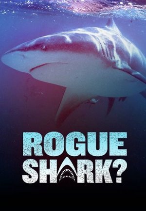 Rogue Shark?