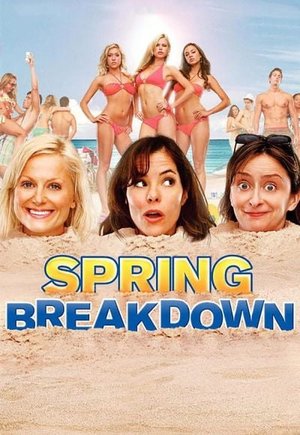 Spring Breakdown