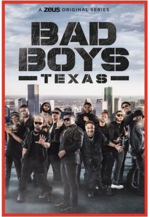 Bad Boys Texas