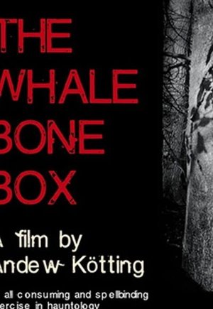 The Whalebone Box