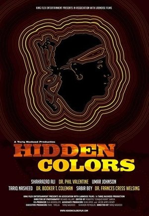 Hidden Colors