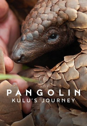 Pangolin: Kulu's Journey