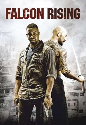 Falcon Rising