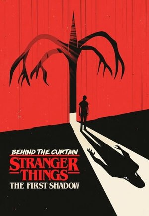 Behind the Curtain: Stranger Things the First Shadow