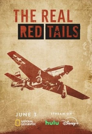 The Real Red Tails