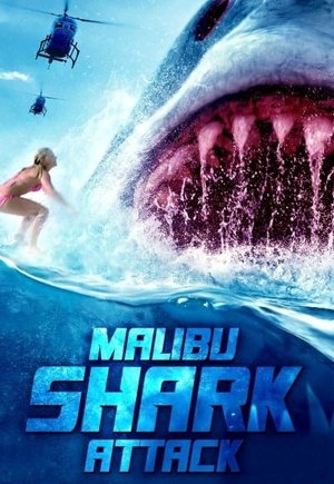 Malibu Shark Attack