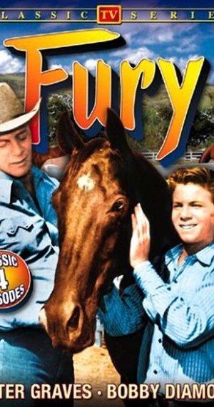 Fury