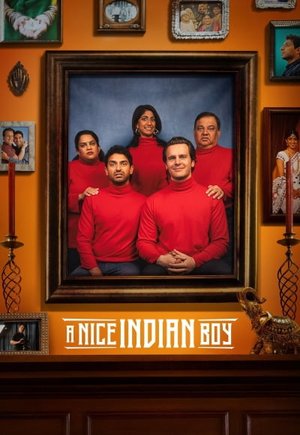 A Nice Indian Boy