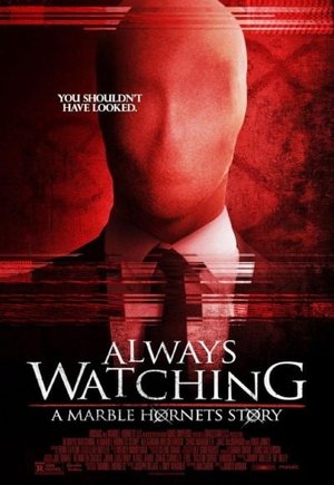 Always Watching: A Marble Hornets Story