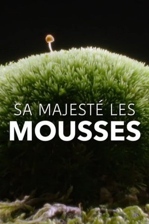 Sa Majesté les mousses