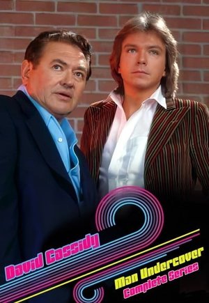 David Cassidy - Man Undercover
