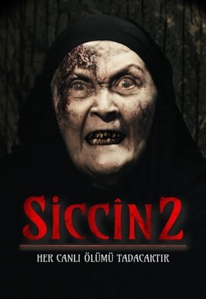 Siccin 2