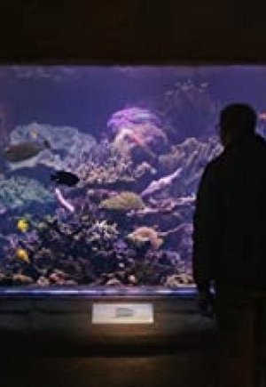 Relaxing Old Footage with Joe Pera